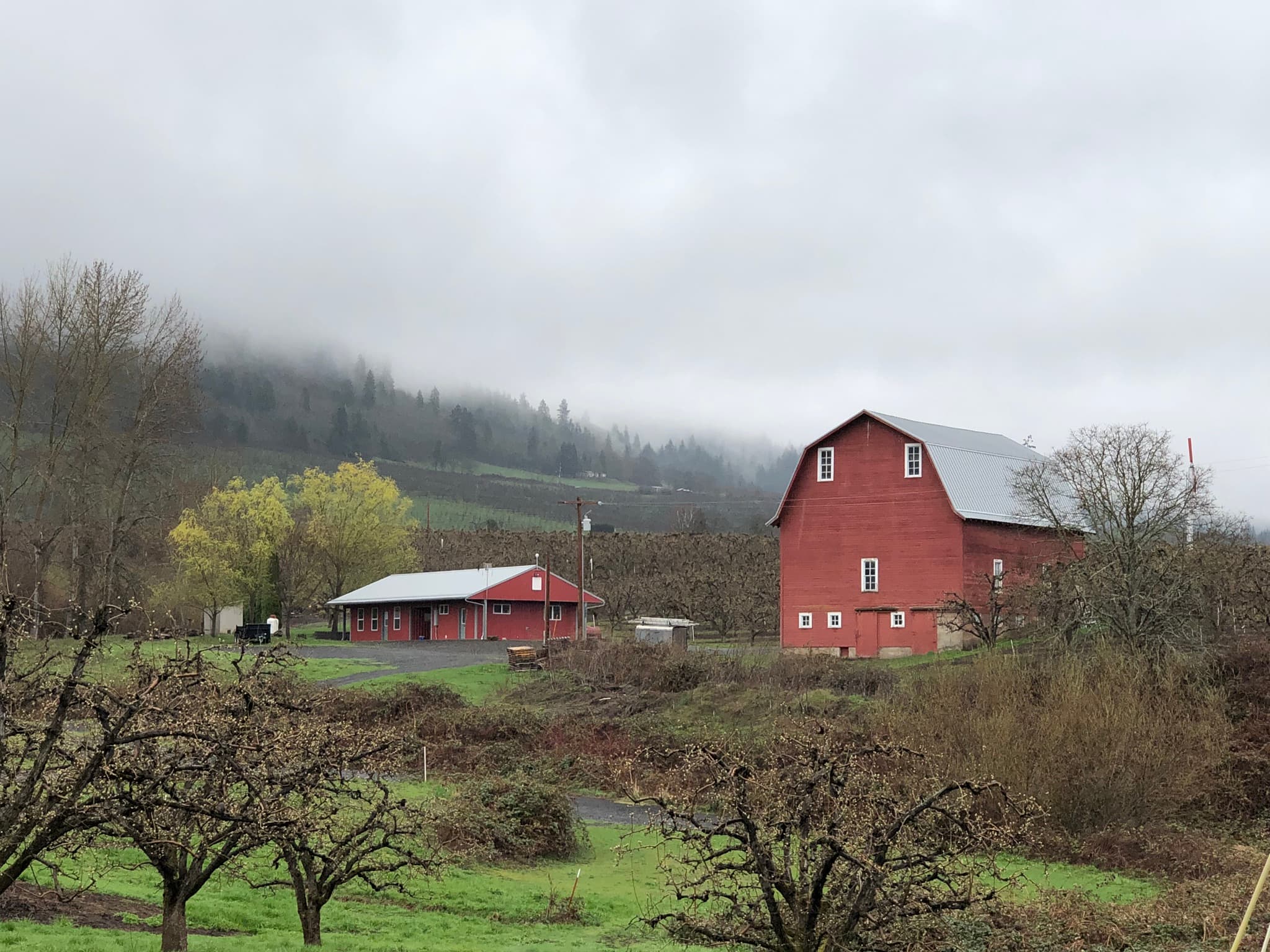 Red barn nestled in an orchard valley under a moody Pacific Northwest sky