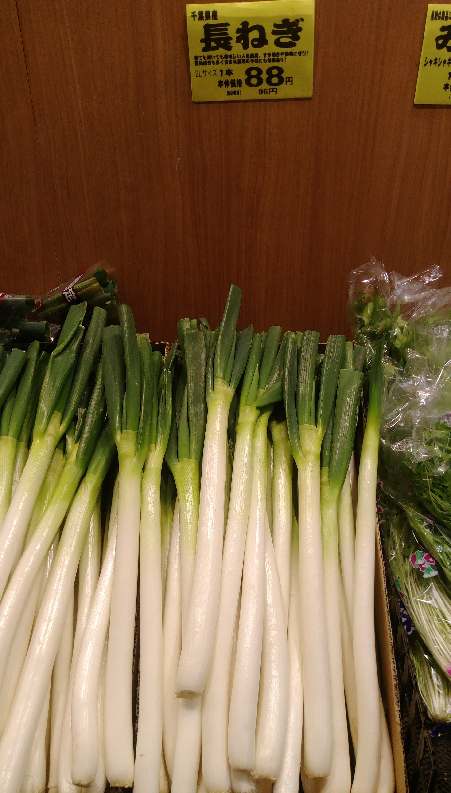 A market display of Japanese negi with very long, thick white shanks and short dark green tops