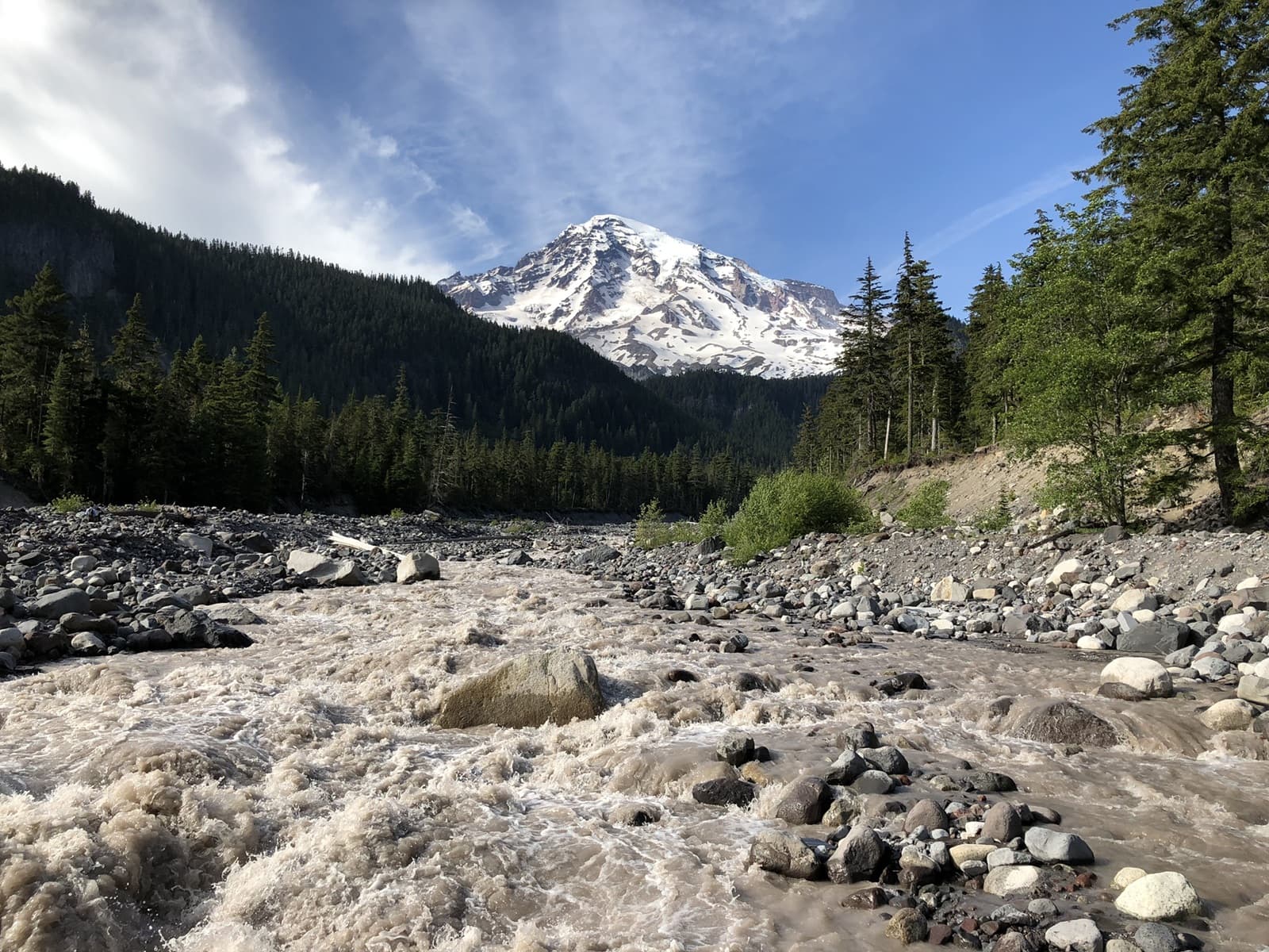 Mt. Rainier with a forest stream and old-growth canopy, Washington